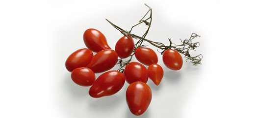 Tomat/linse ragout - rød karry - creme fraiche - kerner - urt